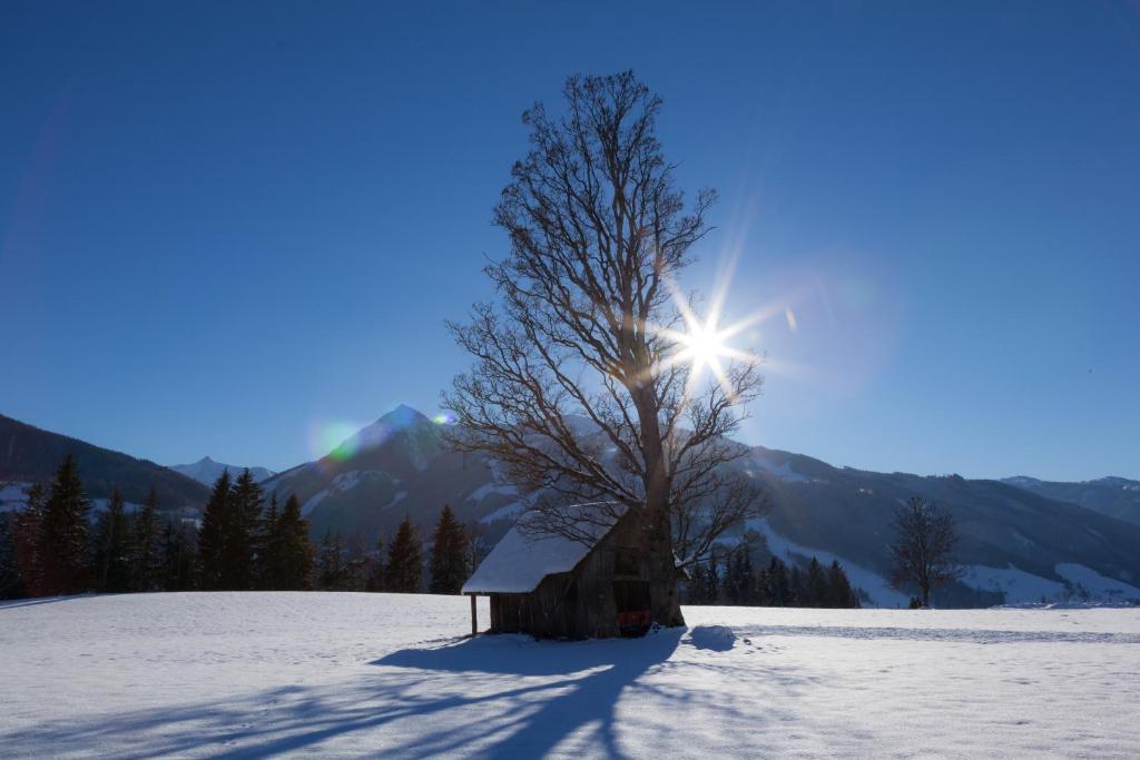 Appartements Hochegg Schladming Bagian luar foto